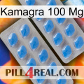 Kamagra 100 Mg 23